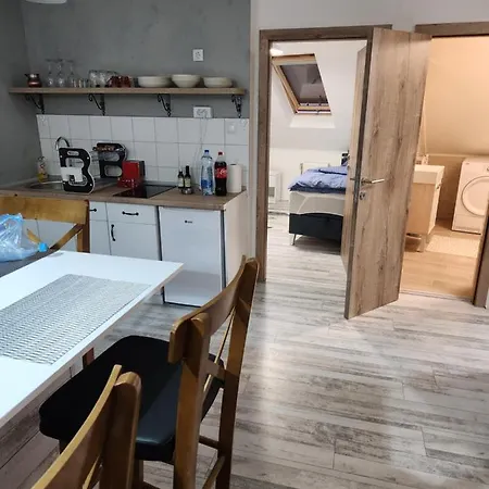 Live & Sleep * Novi Sad